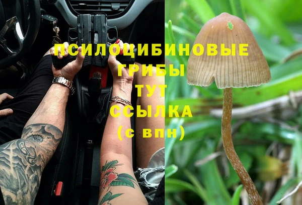 ALPHA-PVP Абинск