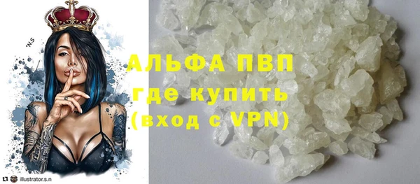 СК Саяногорск