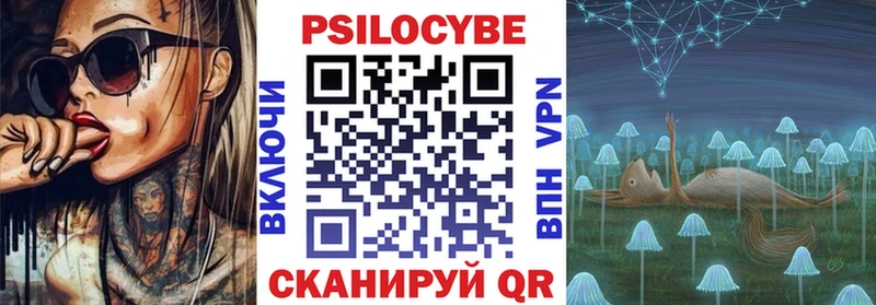 цена   Зуевка  Псилоцибиновые грибы Cubensis 